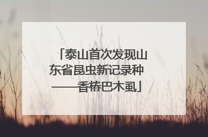 泰山首次发现山东省昆虫新记录种——香椿巴木虱