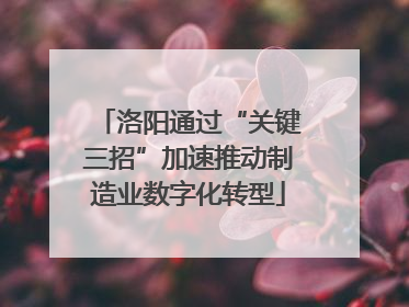 洛阳通过“关键三招”加速推动制造业数字化转型