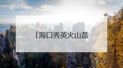 海口秀英火山荔枝王铺就乡村“甜蜜”致富路