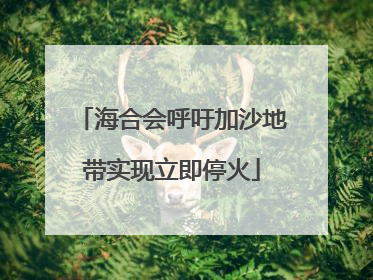 海合会呼吁加沙地带实现立即停火