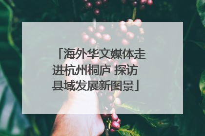 海外华文媒体走进杭州桐庐 探访县域发展新图景