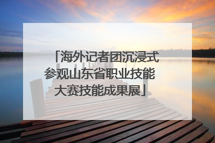 海外记者团沉浸式参观山东省职业技能大赛技能成果展