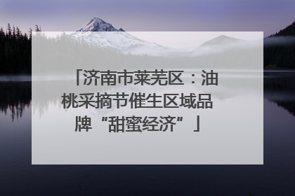 济南市莱芜区：油桃采摘节催生区域品牌“甜蜜经济”