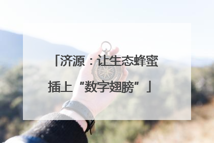 济源：让生态蜂蜜插上“数字翅膀”