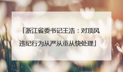 浙江省委书记王浩：对顶风违纪行为从严从重从快处理