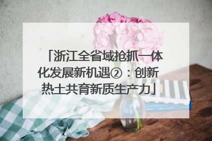 浙江全省域抢抓一体化发展新机遇②：创新热土共育新质生产力