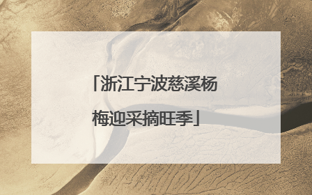 浙江宁波慈溪杨梅迎采摘旺季