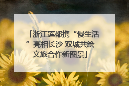 浙江莲都携“慢生活”亮相长沙 双城共绘文旅合作新图景