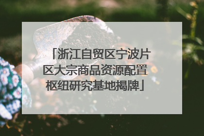 浙江自贸区宁波片区大宗商品资源配置枢纽研究基地揭牌