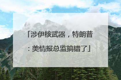 涉伊核武器，特朗普：美情报总监搞错了