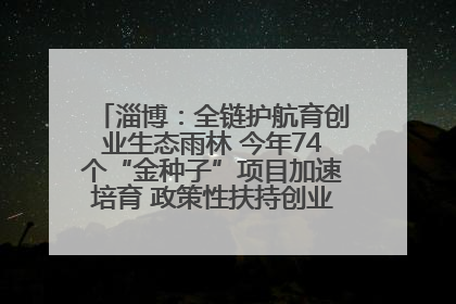 淄博：全链护航育创业生态雨林 今年74个“金种子”项目加速培育 政策性扶持创业9754人
