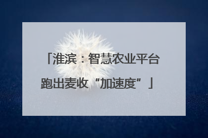淮滨：智慧农业平台跑出麦收“加速度”
