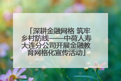 深耕金融网格 筑牢乡村防线——中荷人寿大连分公司开展金融教育网格化宣传活动