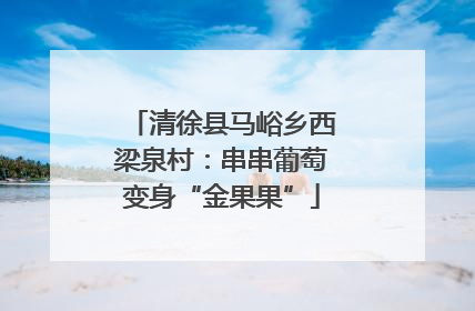 清徐县马峪乡西梁泉村：串串葡萄变身“金果果”