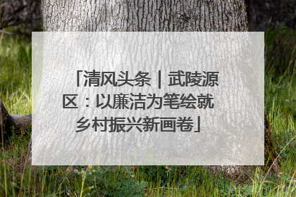 清风头条｜武陵源区：以廉洁为笔绘就乡村振兴新画卷