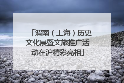 渭南（上海）历史文化展暨文旅推广活动在沪精彩亮相