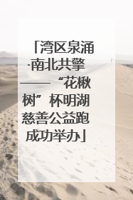 湾区泉涌·南北共擎——“花楸树”杯明湖慈善公益跑成功举办