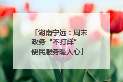 湖南宁远：周末政务“不打烊” 便民服务暖人心