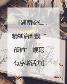 湖南安仁：精细治理靓“颜值” 规范有序增活力