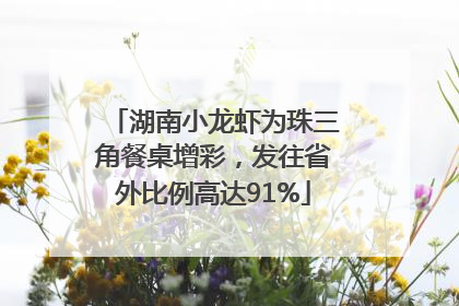 湖南小龙虾为珠三角餐桌增彩，发往省外比例高达91%