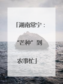 湖南常宁：“芒种”到 农事忙