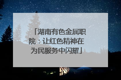 湖南有色金属职院：让红色精神在为民服务中闪耀
