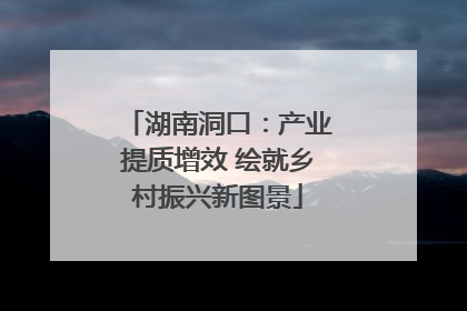 湖南洞口：产业提质增效 绘就乡村振兴新图景
