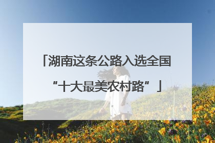 湖南这条公路入选全国“十大最美农村路”