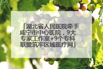 湖北省人民医院牵手咸宁市中心医院，9大专家工作室+9个专科联盟筑牢区域医疗网