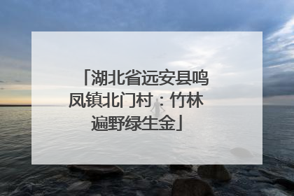 湖北省远安县鸣凤镇北门村：竹林遍野绿生金