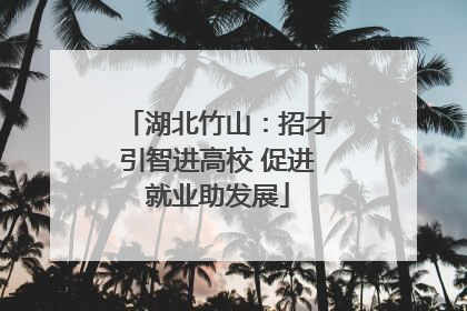 湖北竹山：招才引智进高校 促进就业助发展