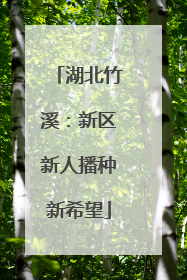 湖北竹溪：新区新人播种新希望