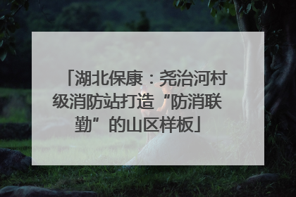 湖北保康：尧治河村级消防站打造“防消联勤”的山区样板