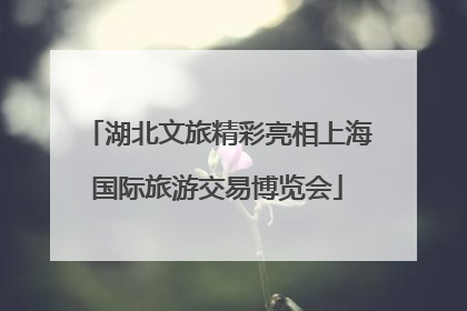 湖北文旅精彩亮相上海国际旅游交易博览会