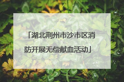 湖北荆州市沙市区消防开展无偿献血活动