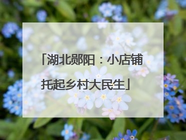 湖北郧阳：小店铺托起乡村大民生