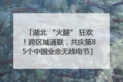 湖北 “火腿” 狂欢！跨区域通联，共庆第85个中国业余无线电节