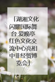 湖湘文化闪耀国际舞台 爱晚亭红色文化交流中心亮相中非经贸博览会