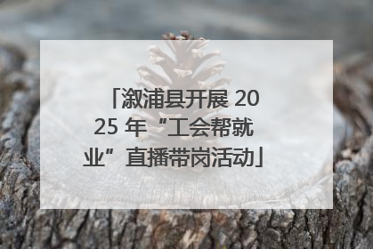 溆浦县开展 2025 年“工会帮就业”直播带岗活动