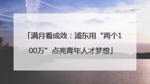 满月看成效：浦东用“两个100万”点亮青年人才梦想