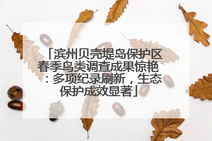 滨州贝壳堤岛保护区春季鸟类调查成果惊艳：多项纪录刷新，生态保护成效显著