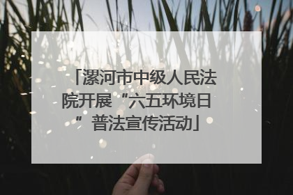 漯河市中级人民法院开展“六五环境日”普法宣传活动