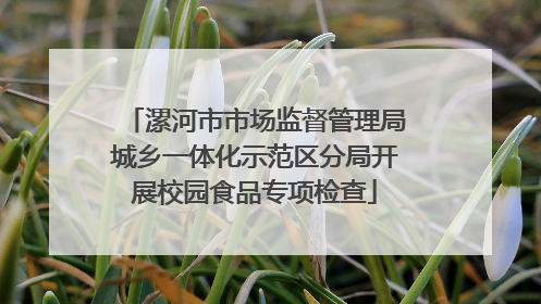 漯河市市场监督管理局城乡一体化示范区分局开展校园食品专项检查