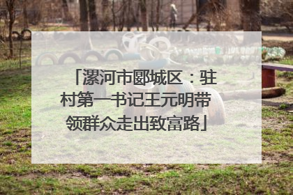 漯河市郾城区：驻村第一书记王元明带领群众走出致富路
