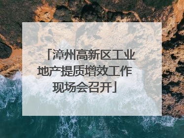 漳州高新区工业地产提质增效工作现场会召开