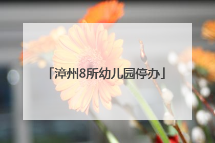 漳州8所幼儿园停办