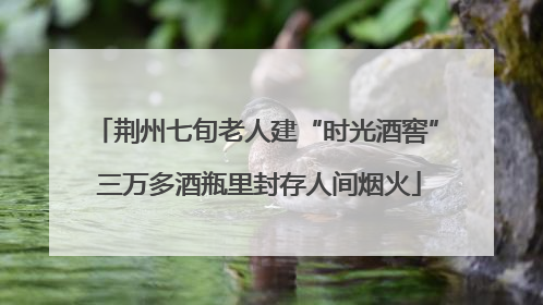 荆州七旬老人建“时光酒窖” 三万多酒瓶里封存人间烟火