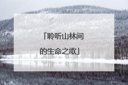 聆听山林间的生命之歌