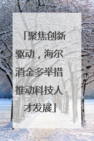 聚焦创新驱动，海尔消金多举措推动科技人才发展