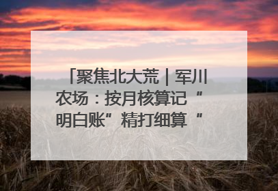 聚焦北大荒｜军川农场：按月核算记“明白账”精打细算“过紧日子”